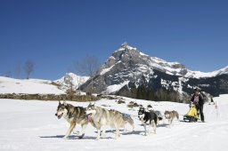 Kandersteg 2011